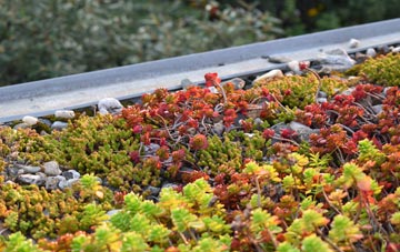 the cost of Molinnis green roof installation